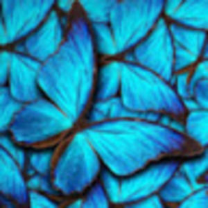 Meet your Posher, Camill